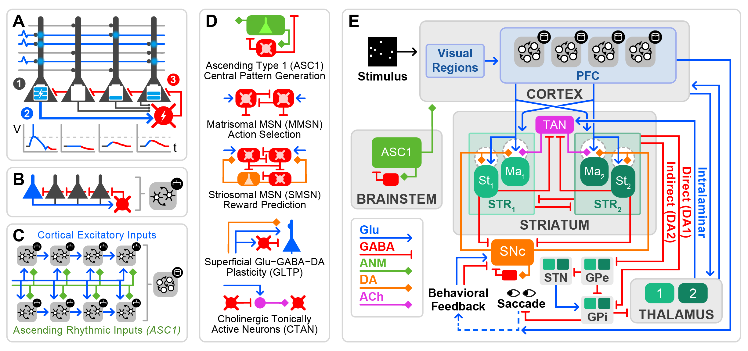 Fig2