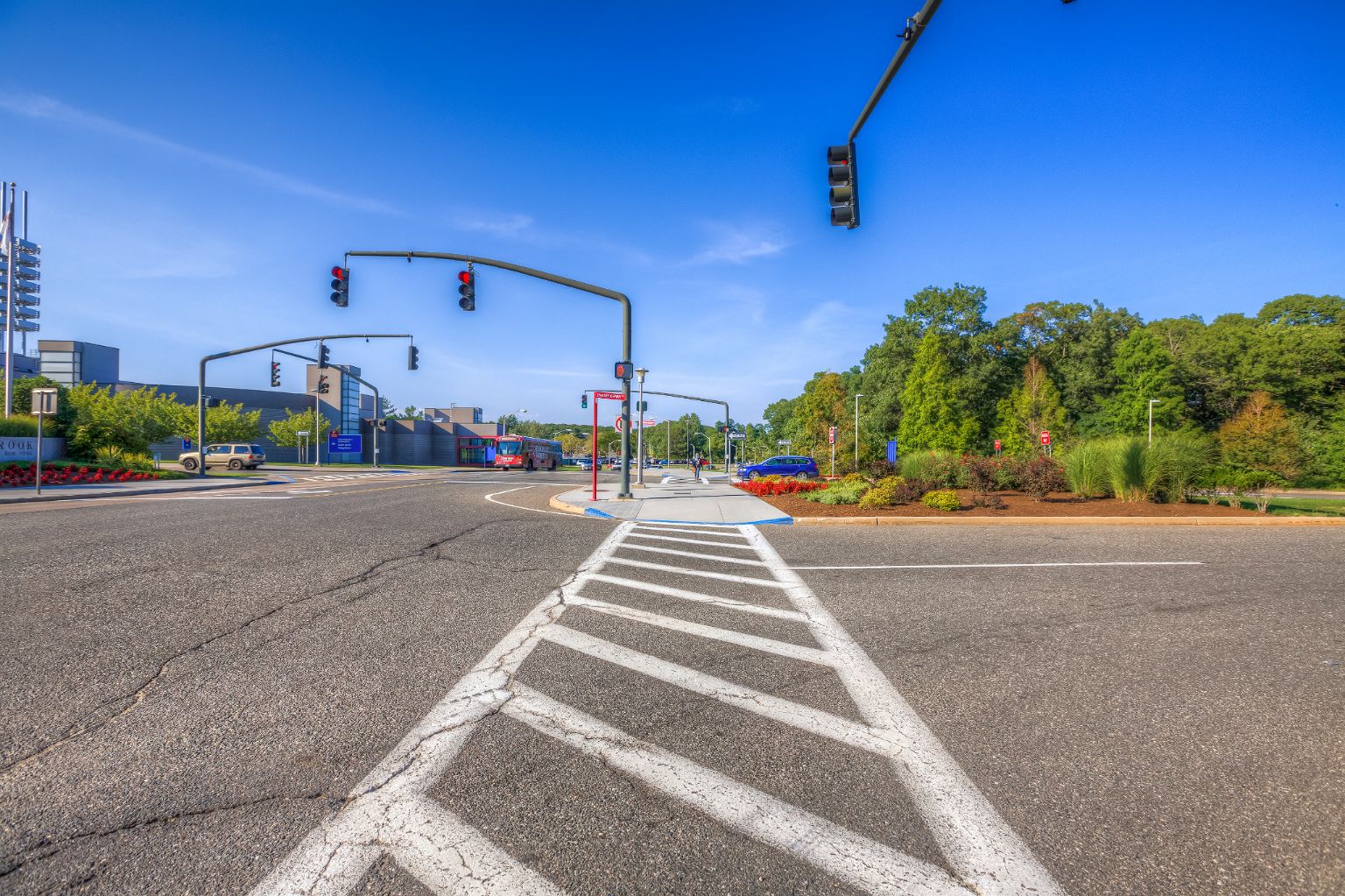 Osher Institute Logo traffic lights