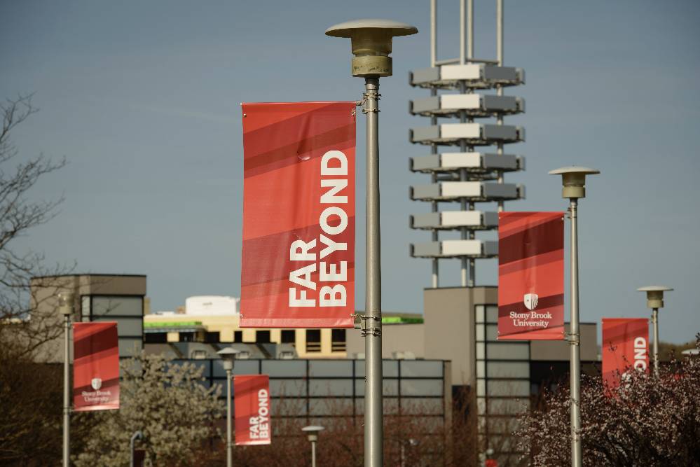 Stony Brook overlooking the fountain