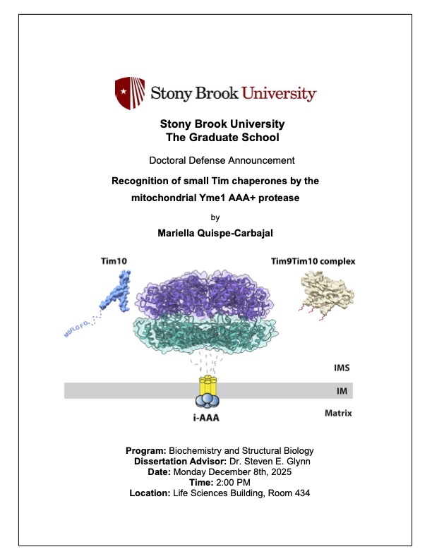 Thesis Flyer