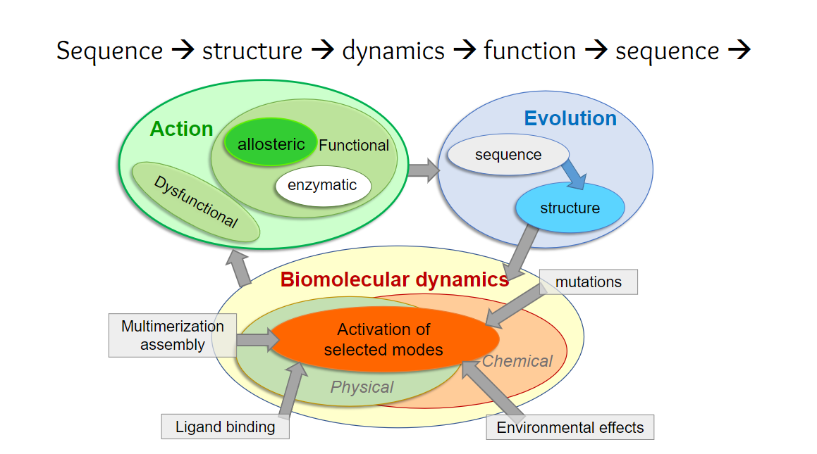 Bahar Lab Figure