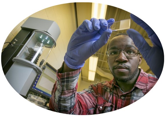 Student holding microscope slide 