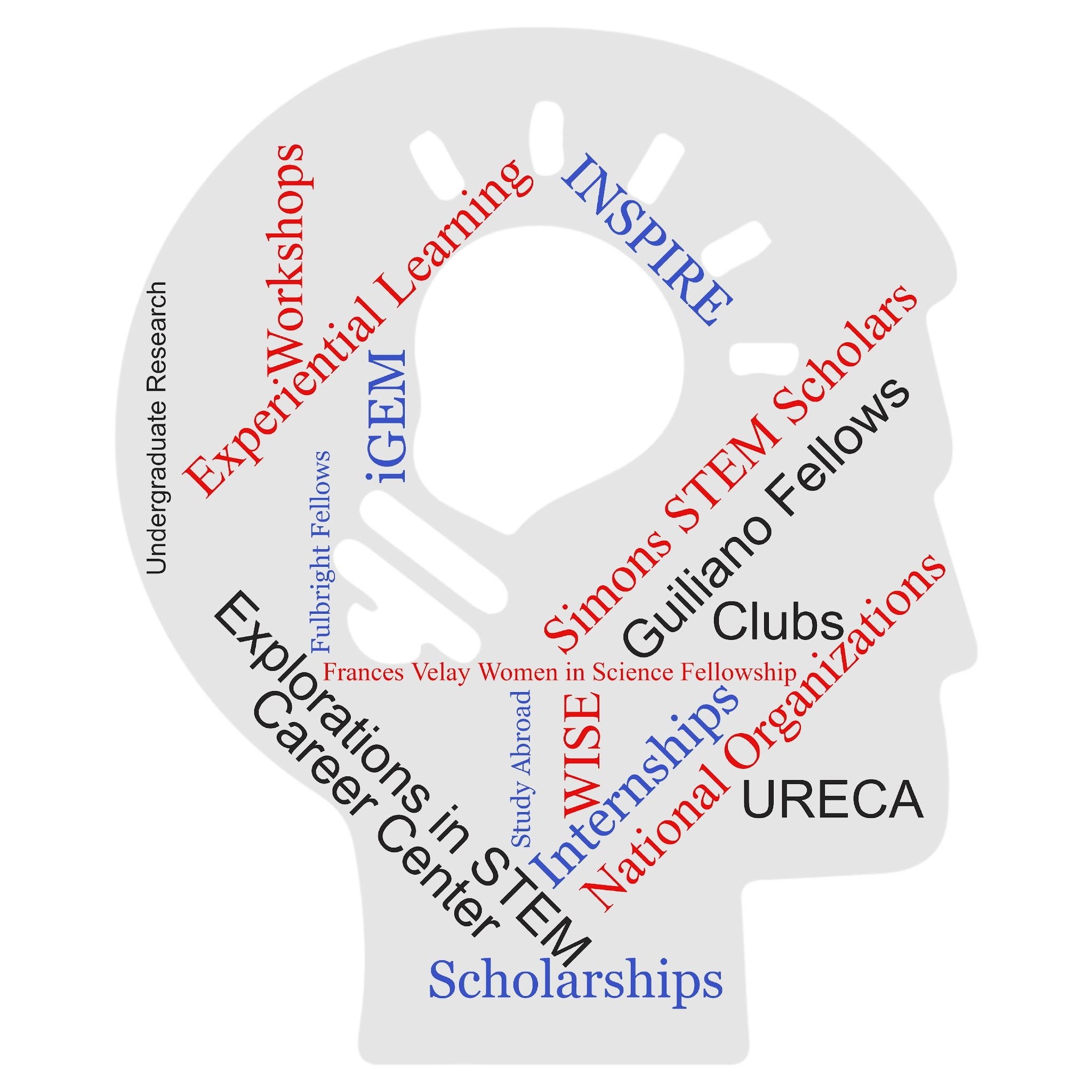 Undergrad Research Graphic