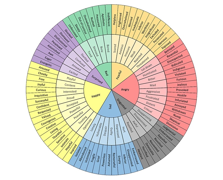 Feelings Wheel Explained