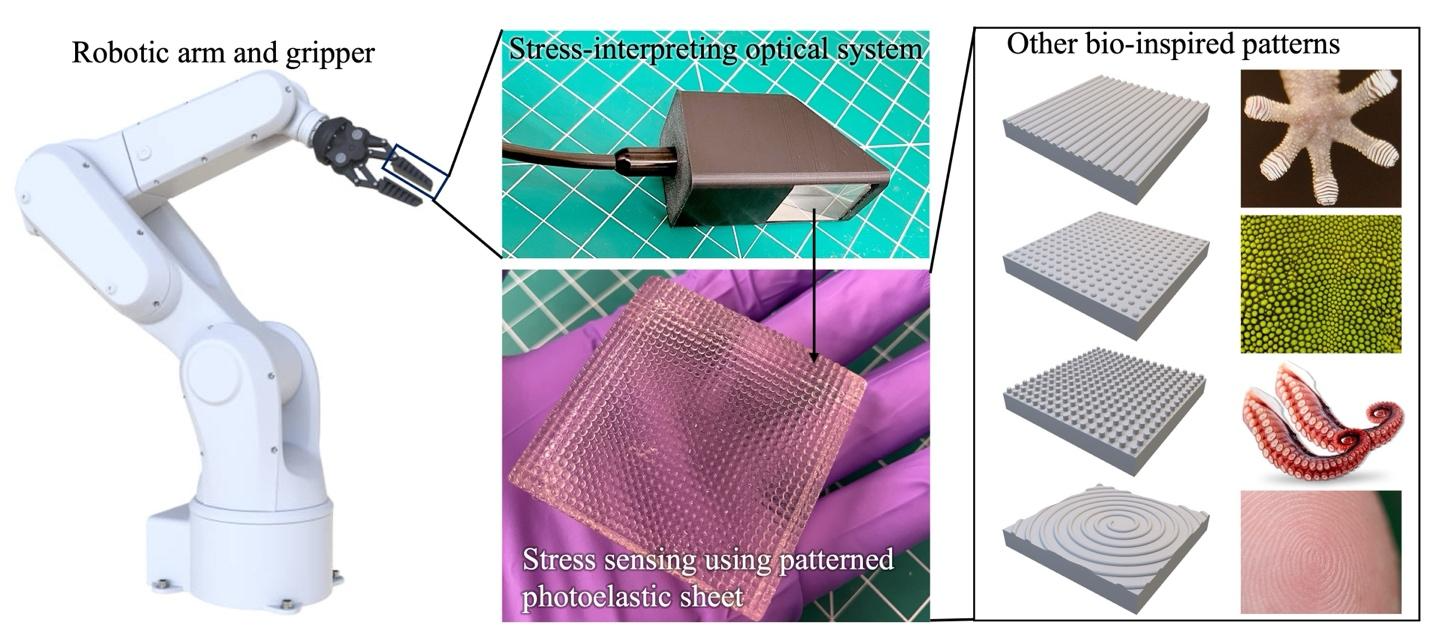 robotic arm and gripper, stress-interpreting optical system, stress sensing using patterned photo-elastic sheet, other bio-inspired patterns