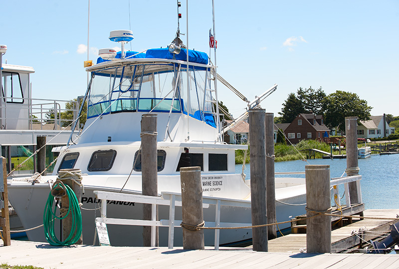 Boat in Marina at Southampton