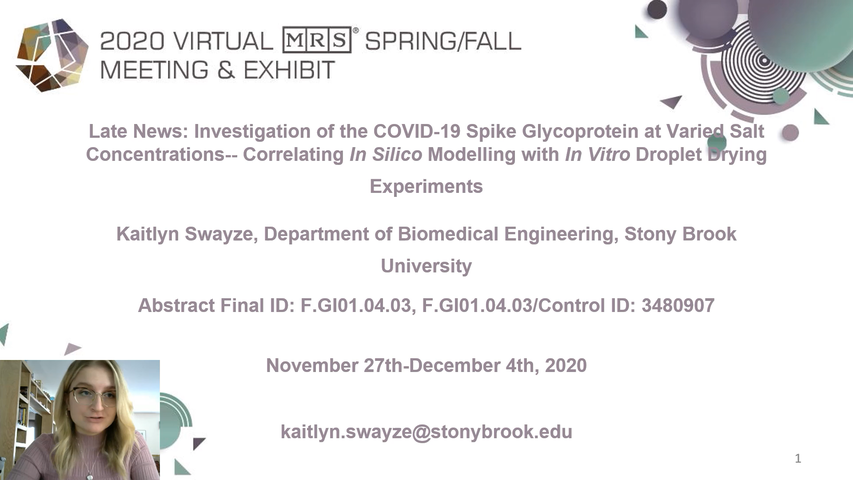 Investigation of the COVID-19 Spike Glycoprotein at Varied Salt Concentrations Correlating In Silico Simulations with In Vitro Droplet Drying