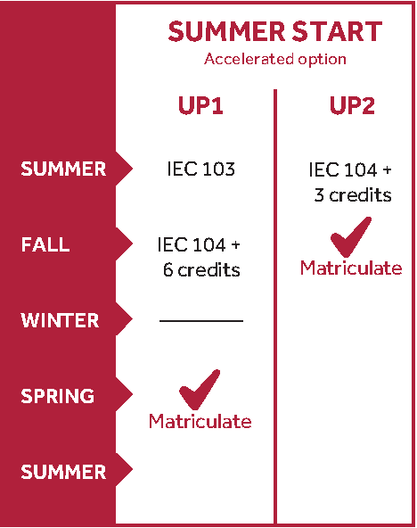 Summer Timeline