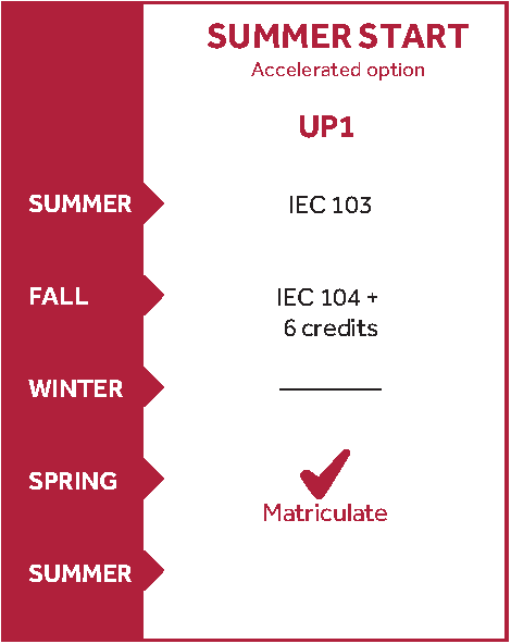 UP1 Summer Timeline