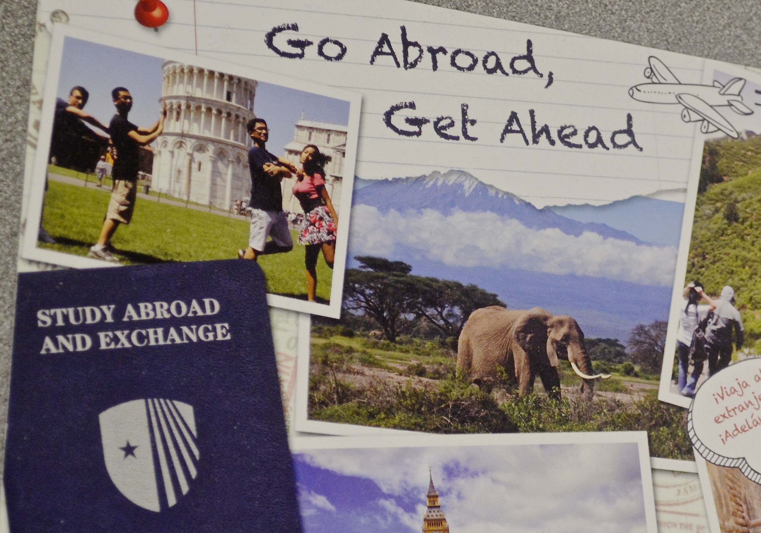 Study Abroad & Exchange