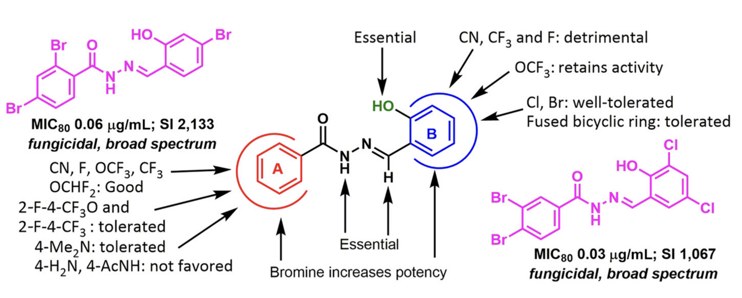 Acylhydrazones