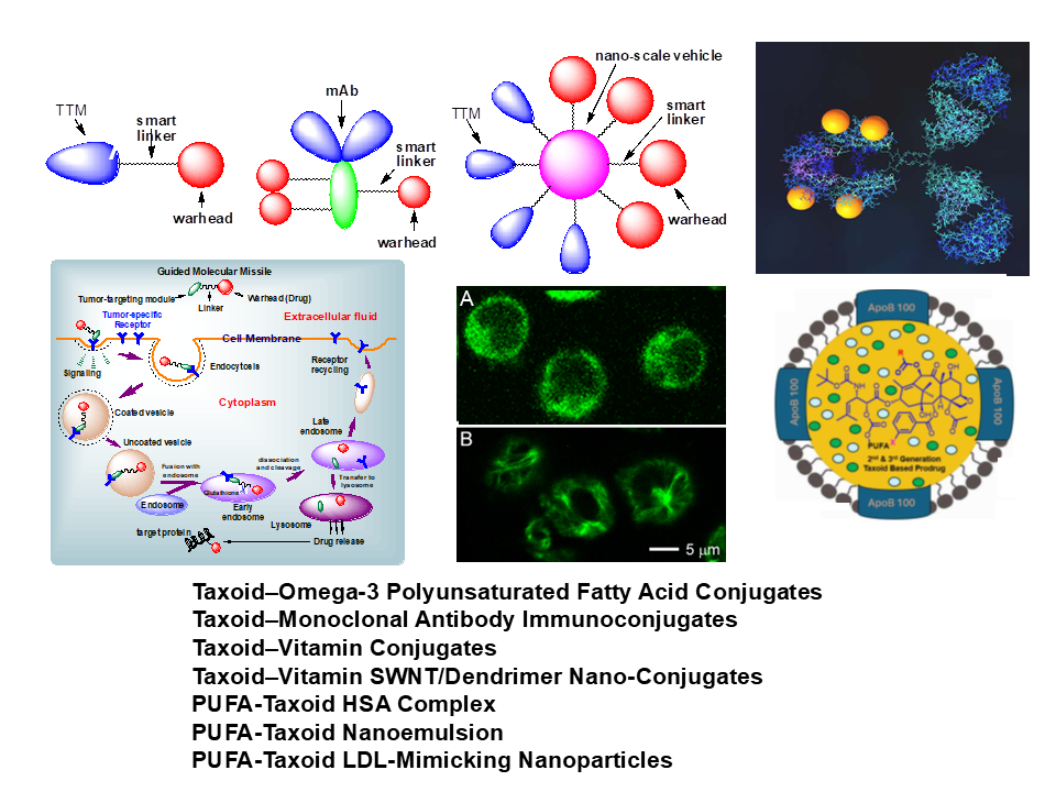 tumor targeting