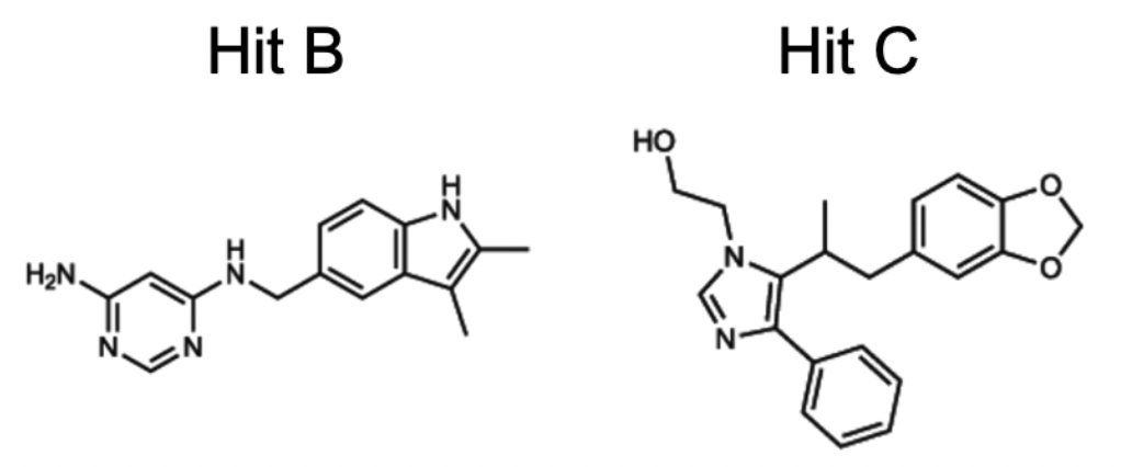 fig5