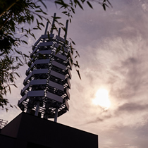 Online Teaching & Learning