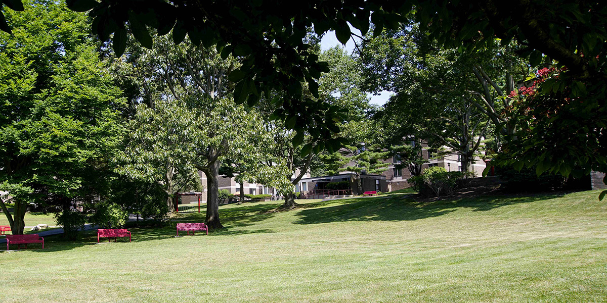 tabler quad