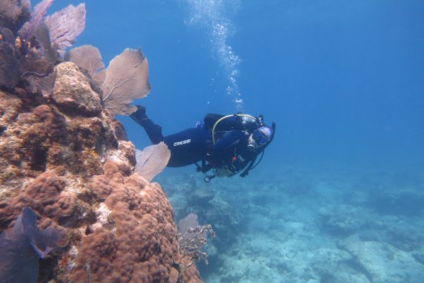 Alexandra Fine, MA, 2016