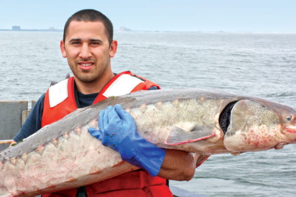 Christopher Martinez, PhD, 2014