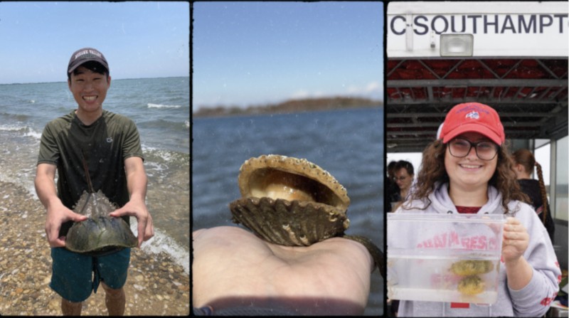 Students in MAR 106 class near the water examining sea critters