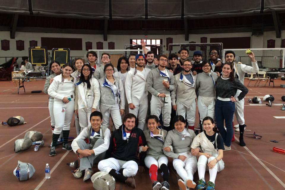 fencing