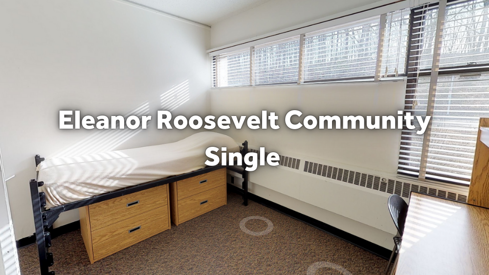 Roosevelt Single Room Tour