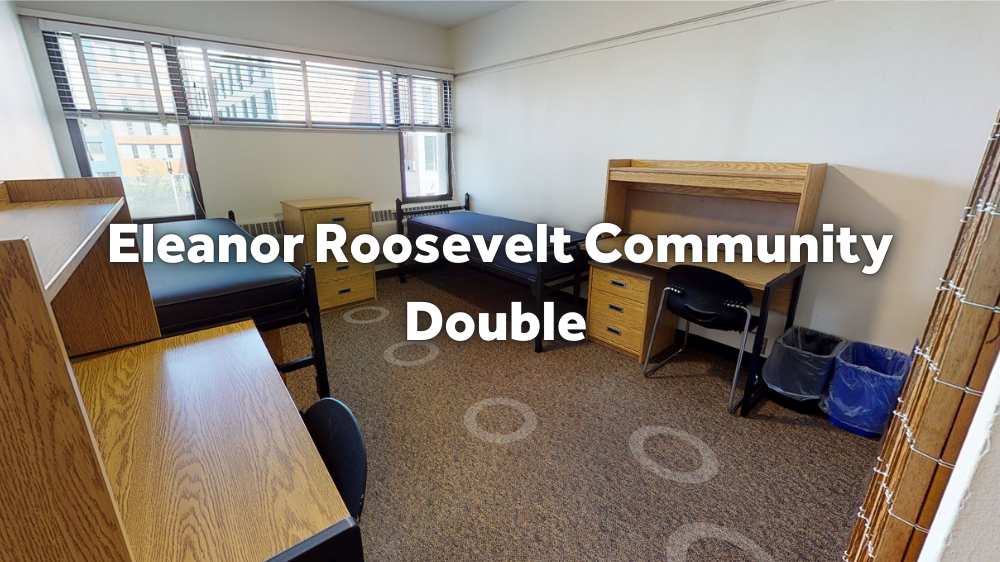 Roosevelt Double Room Tour