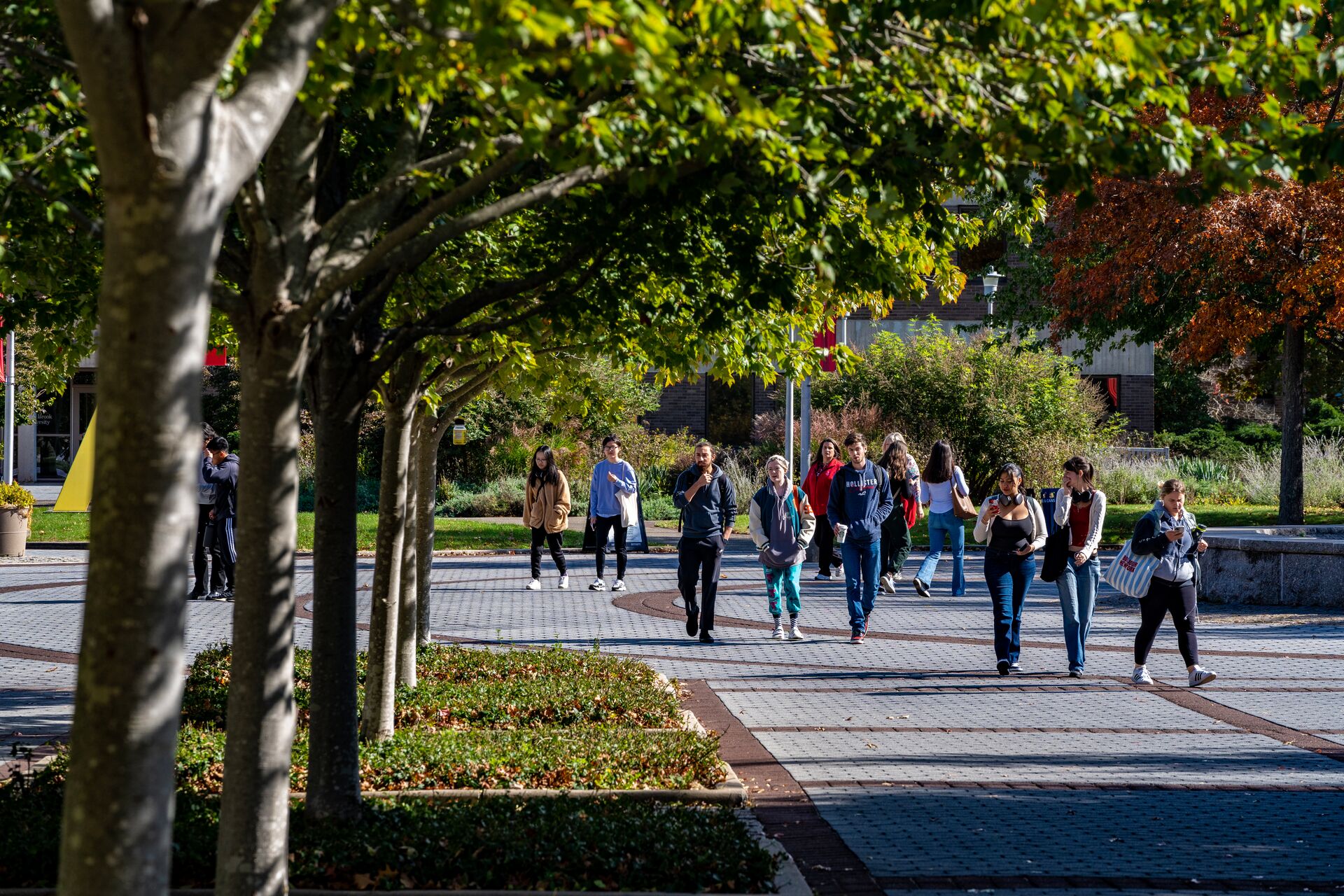 students walking