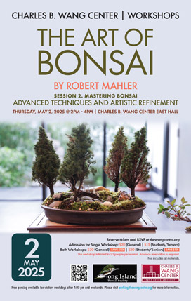 Mastering Bonsai: Advanced Techniques and Artistic Refinement poster