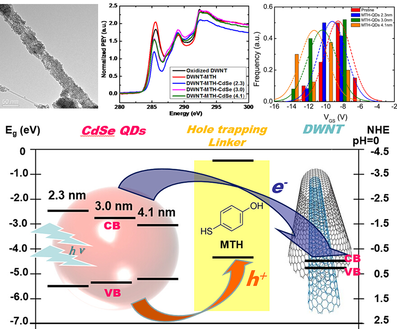 QD on DWCNT